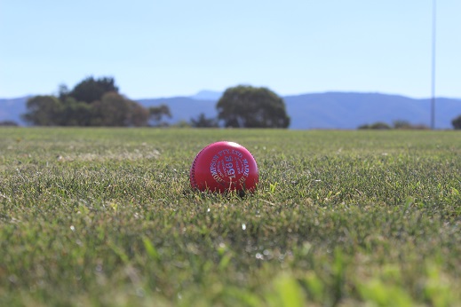 Cricket Ball